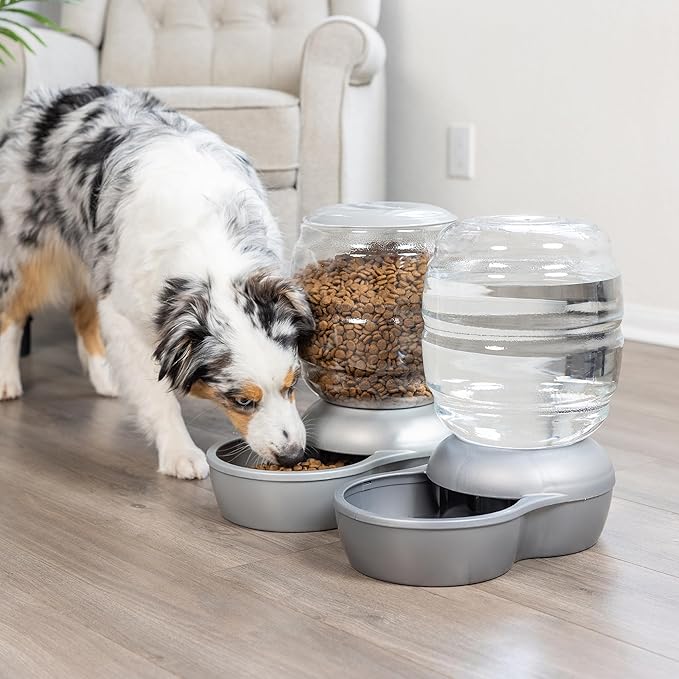 Petmate Replendish Automatic Gravity Waterer for Cats and Dogs, BPA-Free, No Batteries Required, Includes Charcoal Filter, 4 Gallons, Made in USA,Blue