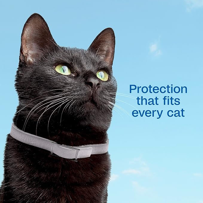 ADAMS Plus Flea & Tick Collar for Cats, Flea Collar for 14-Month Prevention, Adjustable Collar Fits Cats & Kittens, Kills Fleas & Ticks, 2 Count