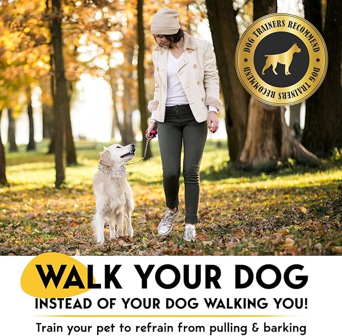 PetJett Prong Collar for Dogs - Adjustable Dog Training Collar No Pull Choke Collar for Dogs Pinch Collar for Dog Walking Tool for Small Medium, or Large Breed - Stainless Steel Metal Choker Chain
