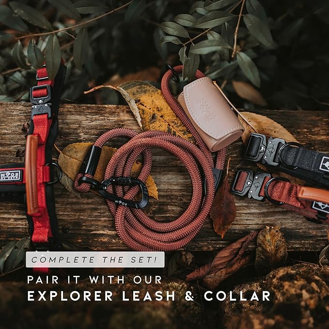MADE TO ROAM Premium Explorer Harness - Y-Shaped Dog Harness with Adjustable Durable Nylon, Soft Padding, Metal Buckles and Leather Handle for Small, Medium, Large Dogs (Washington Rain, Size 7)