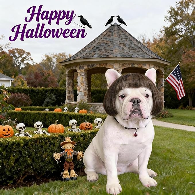 Popular Human-Style Hair Wigs Funny Pet Wig – DIY Haircut & Adjustable Fit – Cat & Dog Costume for Halloween, Party, Photo Shoots – Fits 5kg-50kg Pets