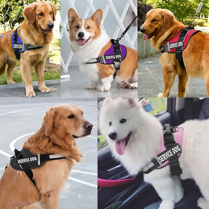 JSXD Dog Harness,No-Pull Service Dog Harness with Handle Adjustable Outdoor Pet Dog Vest 7M Reflective Nylon Material Vest for Breeds,Easy Control for Small Medium Large Dogs