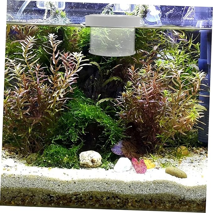 BESPORTBLE Floating Fish Tank Isolation Box Durable Acrylic Aquarium Breeding Box for Fish with Design for Guppy Shrimp Clownfish for Fish Enthusiasts