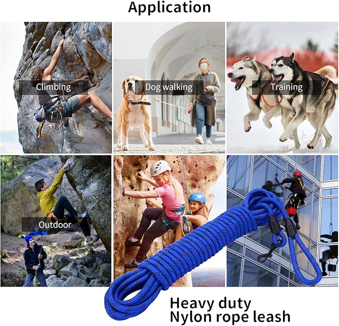 Long Dog Leash for Training 15Ft-Reflective Nylon Rope with Swivel Hook-Recall Agility Lead for Large Small Medium Dogs Outside Walking Hiking-Royal Blue