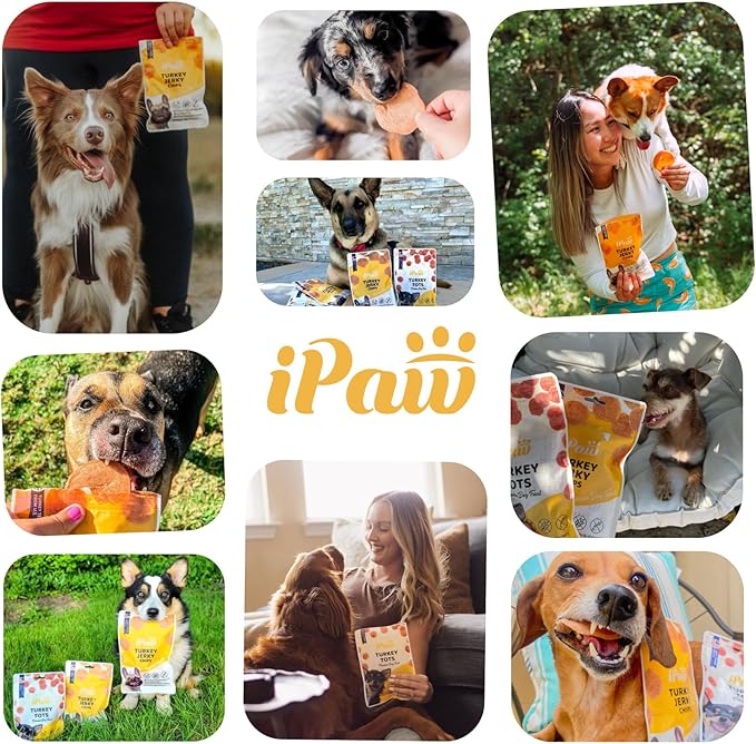 iPaw 2 Saver Combo Chicken Chips Dog Treats for Puppy Training, All Natural Human Grade Dog Treat, Hypoallergenic, Easy to Digest (Chicken Chips), 2 Packs