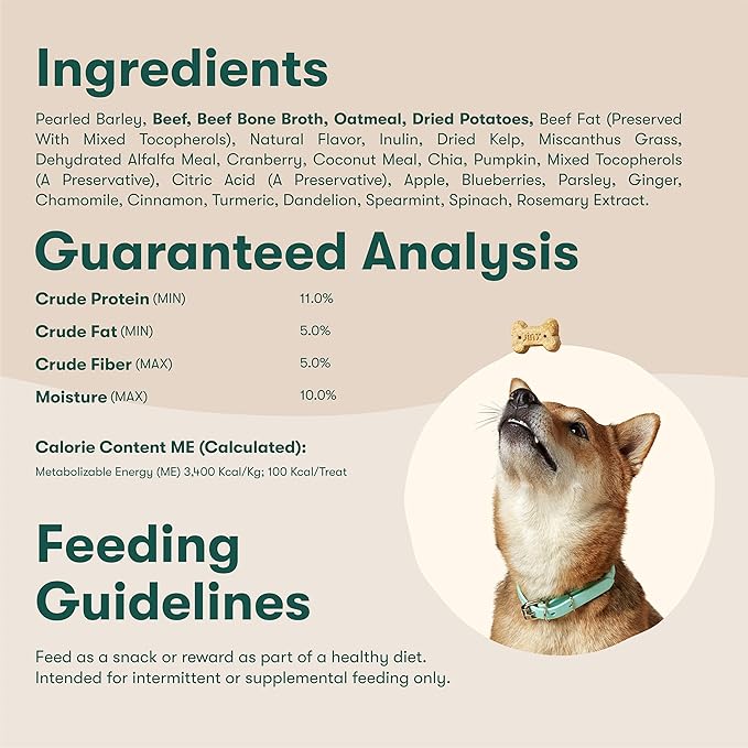 Jinx Oven-Baked Beef Bone Broth Mini Biscuit Dog Treats - Crunchy, All Natural, Superfood-Rich with Grass-Fed Beef, Dog Biscuits for Puppies, Adults & Seniors - 3lb