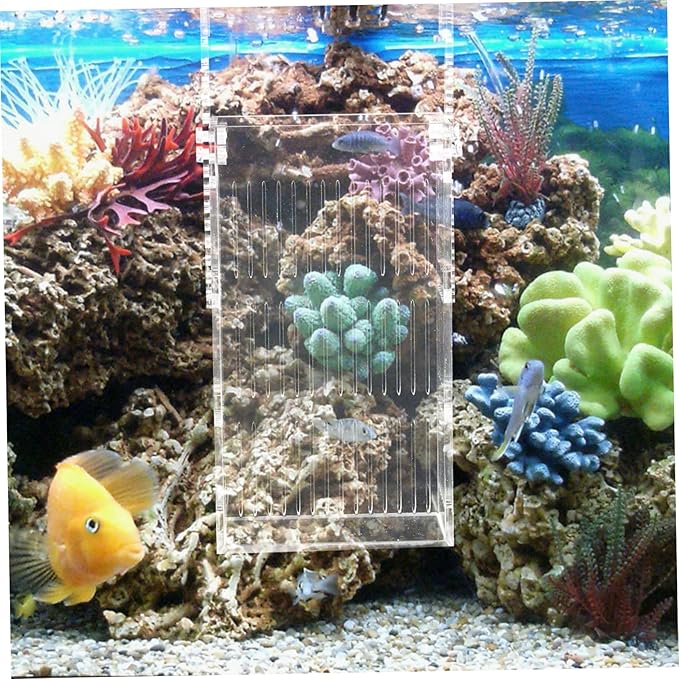 Kisangel Acrylic Fish Breeding Box Separator Shrimp Incubator for Aquarium Prevents Adult Fish Compact Hanging Isolation Tank