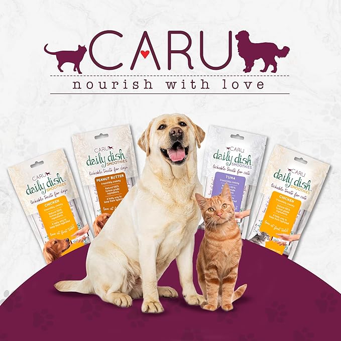 Caru - Daily Dish Smoothies - Lickable Chicken Cat Treat or Pet Food Topper - .5oz Tubes - 4 Tubes per Pack - 12 Pack