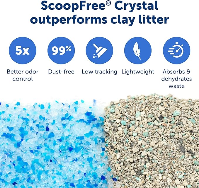 PetSafe ScoopFree Crystal Pro Legacy Self-Cleaning Automatic Litter Box - Uncovered Motion-Sensing Cat Box with Integrated Health Counter - Includes 1 Disposable Crystal Litter Tray