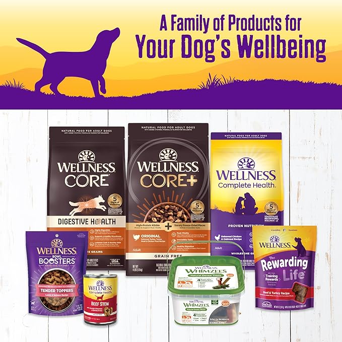 Wellness Complete Health Stew Adult Canned Wet Dog Food, Grain Free, Natural, Beef Recipe, 12.5 oz, Pack of 12 Cans
