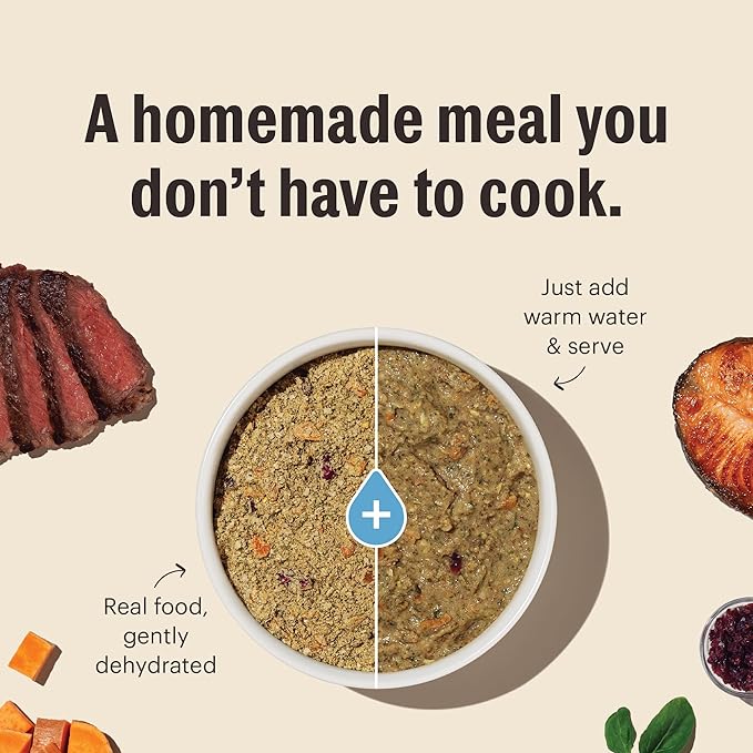 The Honest Kitchen Human Grade Wholemade™ Dehydrated Limited Ingredient Dog Food, Fish 10 lb Bag (makes 40lbs)