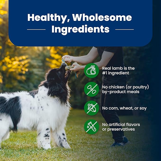 Blue Buffalo Life Protection Formula Adult Dry Dog Food, Helps Build and Maintain Strong Muscles, Made with Natural Ingredients, Lamb & Brown Rice Recipe, 24-lb. Bag