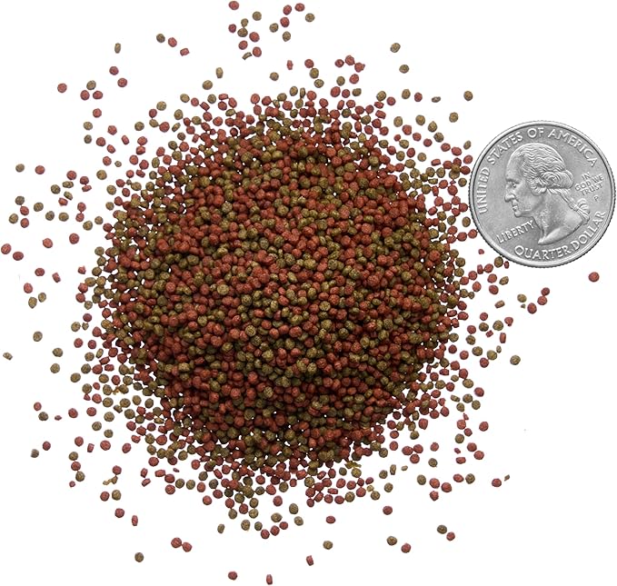 Plecoceramics Betta Fish Pellets Extreme Color, Complete Nutrition Plus Color Boost, Enhancing Floating Food Betta Fish (1.4 oz / 40 g)