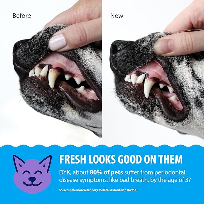 Dental Fresh Plaque & Tartar Control Water Additive for Dogs & Cats – Helps Support Clean Teeth, Healthy Gums & Fresh Breath – Advanced Formula Oral Care, 17 fl oz