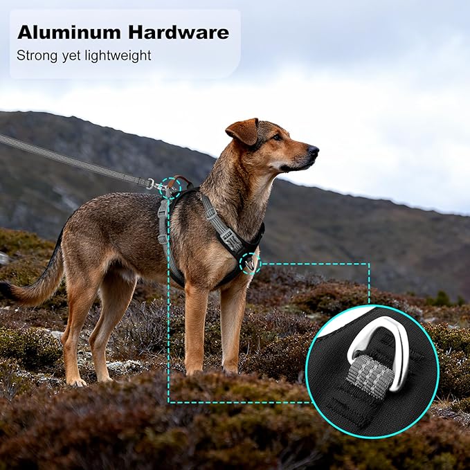 No Pull Dog Harness – Adjustable Reflective Nylon Vest for Small Medium Large Dogs, Escape Proof Training Harness with Leather Control Handle, Lightweight Aluminum Hardware (Black, S)