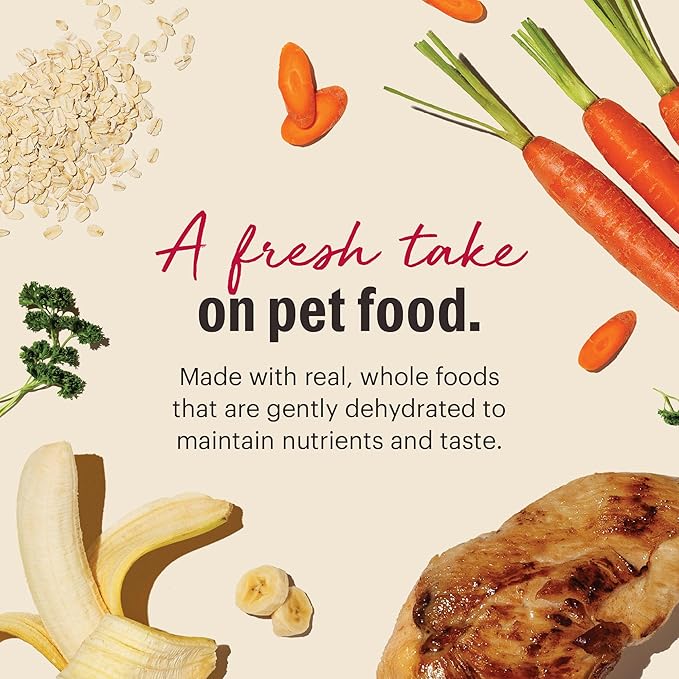 The Honest Kitchen Human Grade Wholemade™ Dehydrated Whole Grain Dog Food - Complete & Balanced Meal or Topper - Chicken 10 lb Box