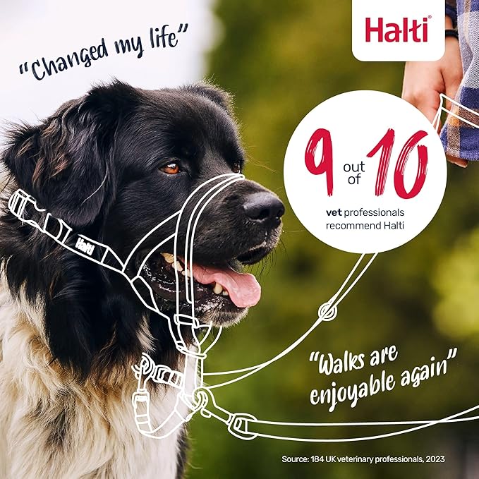 Halti Headcollar - Stop Your Dog Pulling on The Leash. Adjustable, Reflective and Lightweight, with Padded Nose Band. Dog Training Anti-Pull Collar for Small Dogs (Size 1, Forest Green)