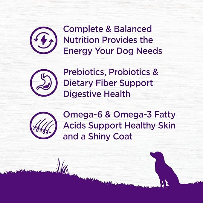 Wellness Complete Health Adult Dry Dog Food, Wholesome Grain Kibble, Natural, Lamb and Barley Recipe, 5 lb Bag