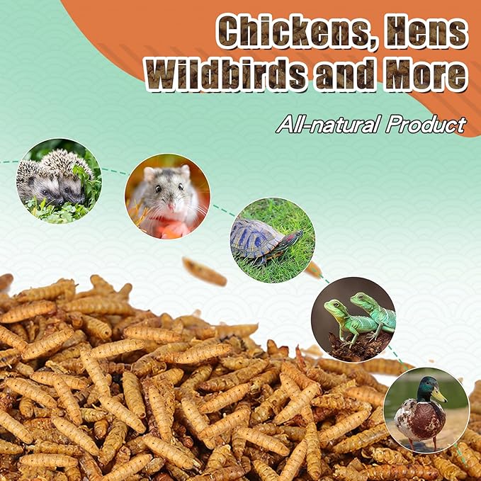 Dried Black Soldier Fly Larvae 20LBS, 85X More Calcium Than Mealworms High-Protein BSF Larvae Chicken Treats Non-GMO BSFL for Chickens, Hens, Ducks, Wild Birds
