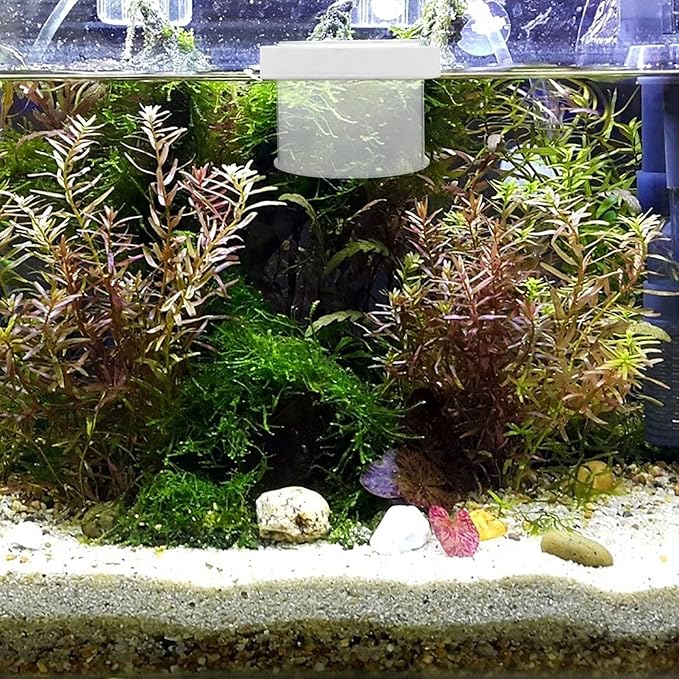 Mipcase Floating Fish Box Acrylic Aquarium Fish Breeding Box Guppies Hatching Incubator for Hatchery 10X10X8CM