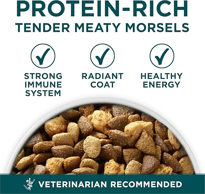 Purina ONE Plus Large Breed Puppy Food Dry Formula - 40 lb. Bag