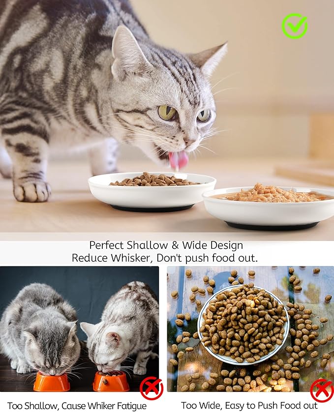 No Spill Cat Bowls,Cat Food Bowl,Anti Whisker Fatigue Healthy Ceramic Cats Dishes Set for Indoor Cats,Shallow Wide Kitten Plates for Food and Water,Non-Slip Silicone Bottom,6 Pack