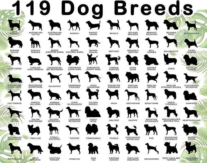 LOVELYPOD Rainbow Bridge Pet Memorial Gifts for Dogs, Dog Memorial Gifts for Loss of Dogs, Remembrance Gift, in Memory of Dog Gifts Lover, Loss of cat Sympathy Gift (Design 03)