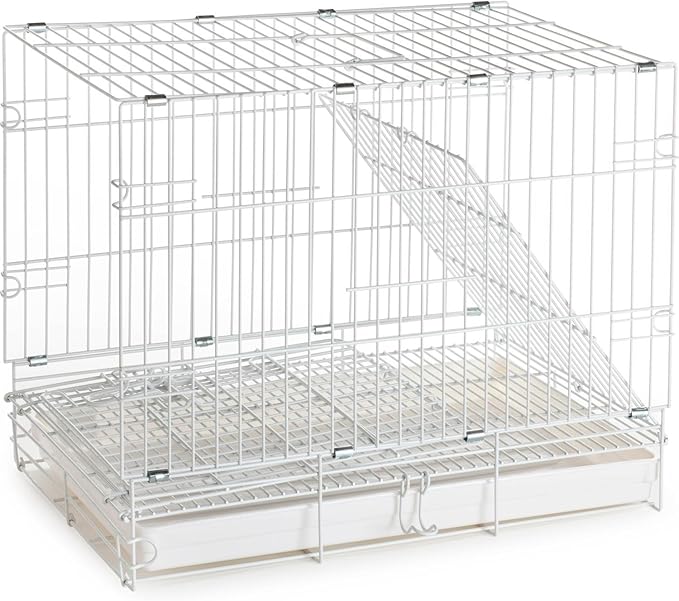 White Durable Metal Easy Foldable Travel Vet Carrier Perch Stand Metal Cage Prevent Your Parrot Bird Prevent Beaks Out Stainless Feeder Cups Natural Wooden Perch Stand