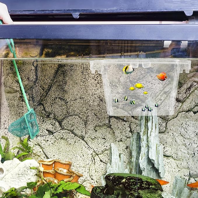 Fish Incubator Box with Divider Aquarium Breeding Hatchery for Betta Isolation, Aquarium Overflow and Nursery Box for Fish in Home Tanks