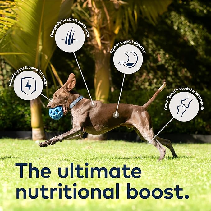ZIWI Peak Dog Food Bundle - Steam & Dried Chicken With Fruits (28.8oz) + Air-Dried Chicken (16oz)