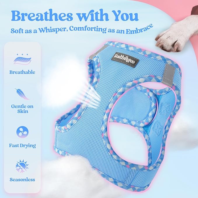 rabbitgoo Dog Harness Small Sized and Leash Set, Step in Soft Light Puppy Vest, Breathable Mesh Pet Harness, Reflective for Safe Easy Walking, Blue & Plaid Trim XS