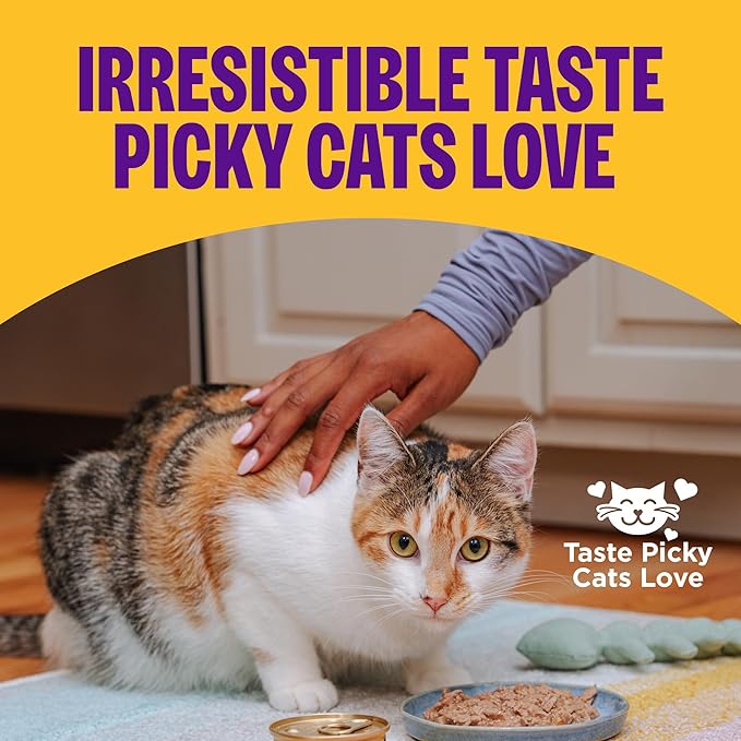 Wellness Complete Health Pate Adult Wet Cat Food, Natural, Protein-Rich, Grain Free, 3 Ounce, 24 Pack, (Turkey)