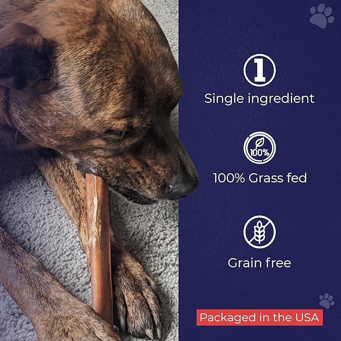 Devil Dog Pet Co. Bully Sticks – 12 Inch, 10 Pack, Standard Sized Dog Chews, 100% Natural, Single Ingredient, Free-Range Grass-Fed Beef – Long Lasting, Rawhide-Free Treats for Dogs