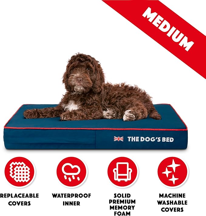 The Dog’s Bed Orthopedic Memory Foam Dog Bed Mattress, Oxford Fabric, Blue with Red Trim, Medium, 4-Inch
