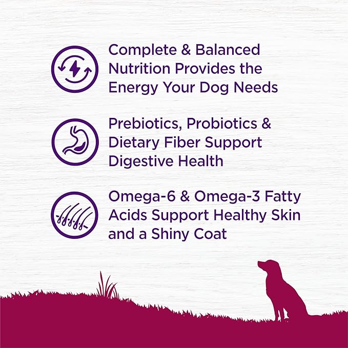 Wellness Complete Health Dry Dog Food, Small Breed, Wholesome Grains, Natural, Turkey & Oatmeal Recipe, (4-Pound Bag)