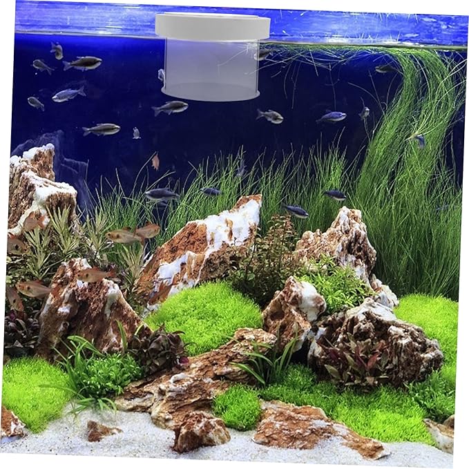 NOLITOY 3pcs Fish Box Floating Aquarium Breeding Box Transparent Isolation Tank for Fish Lightweight Design Removable Cover for Home Use and Quick Adaptation