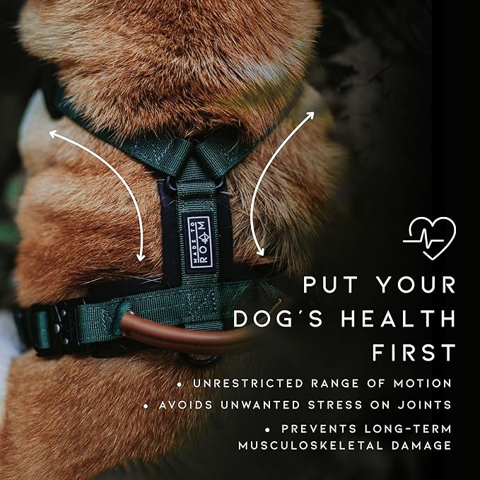 MADE TO ROAM Premium Explorer Harness - Y-Shaped Dog Harness with Adjustable Durable Nylon, Soft Padding, Metal Buckles and Leather Handle for Small, Medium, Large Dogs (Maine Marina, Size 7)