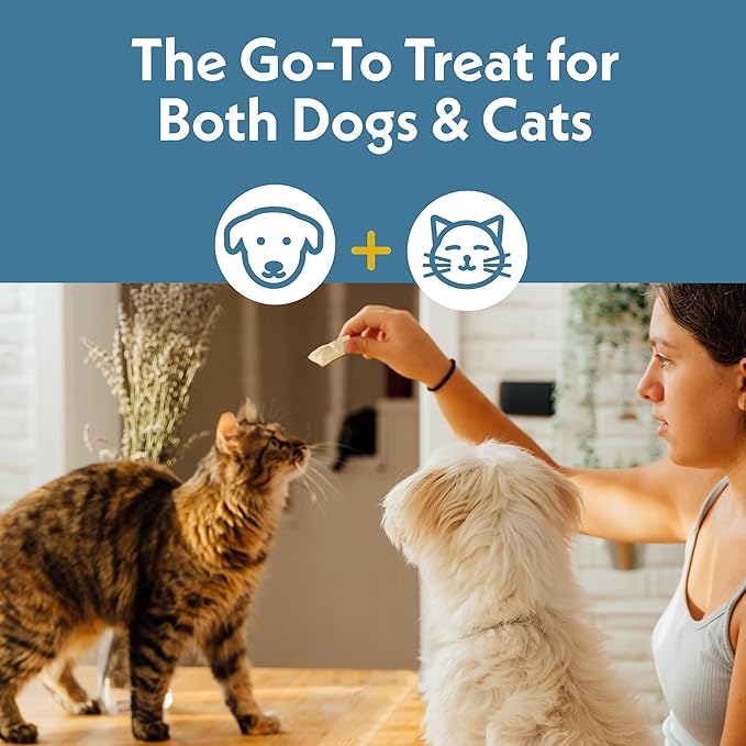 Fresh Is Best Freeze Dried Dog Treats - Raw Freeze Dried Chicken Breast for Dogs & Cats - Healthy Dog Training Treats in Resealable Zipper Bag - High-Protein Single Ingredient - Made in The USA