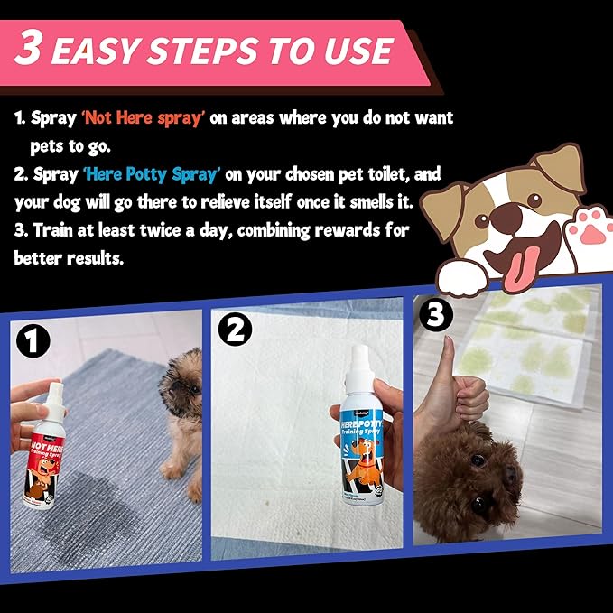 Dog Pee Spray Set, Includes Here Potty & Not Here Training Spray, Potty Training Spray for Dogs, Helps Dogs Develop Proper Potty Habitss (5.75 fl oz Each)