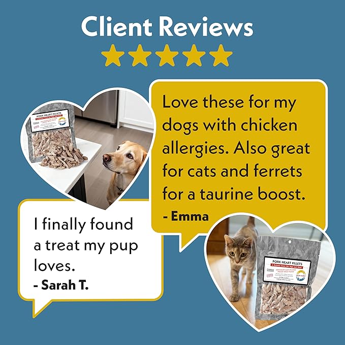 Fresh Is Best Freeze Dried Dog Treats – Raw Freeze Dried Treats for Dogs & Cats in Resealable Zipper Bag – High-Protein Single Ingredient Pork Heart Fillets – Made in The USA