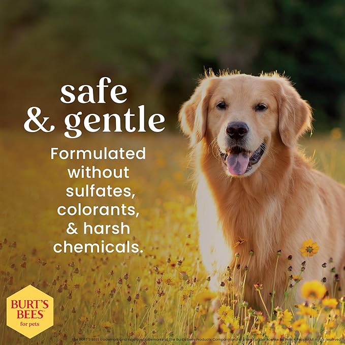 BURT'S BEES FOR PETS Deodorizing Spray for Dogs with With Hazel, Lemongrass and Sage Fragrance, 99% Natural Origin Formulas, Best Waterless Dog Shampoo - Gentle Dry Shampoo for Dogs, 10 oz