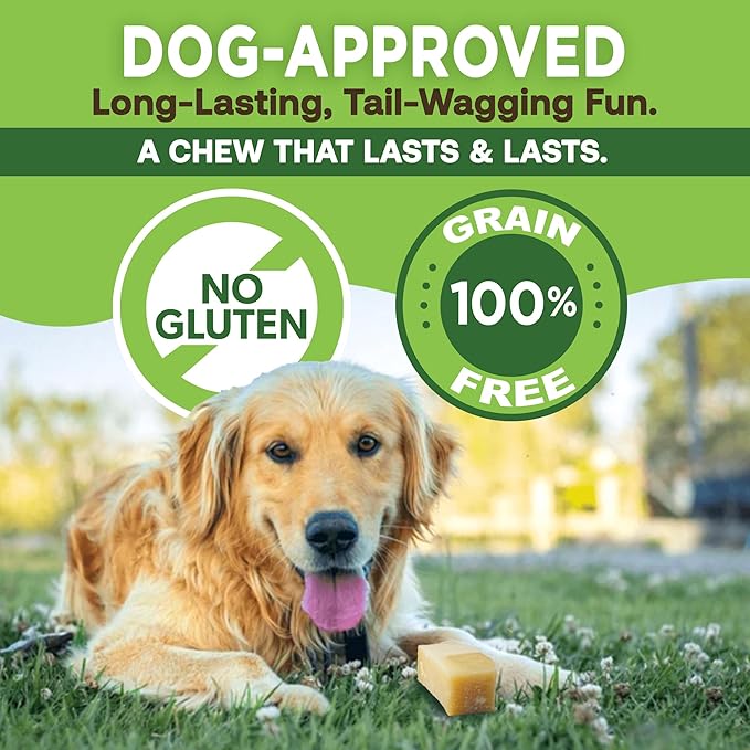 EcoKind Premium Gold Yak Cheese Himalayan Dog Chews, Dog Treats Large Breed, All Natural, High Protein, for Aggressive Chewers, Large - 4 Chews (1 lb)