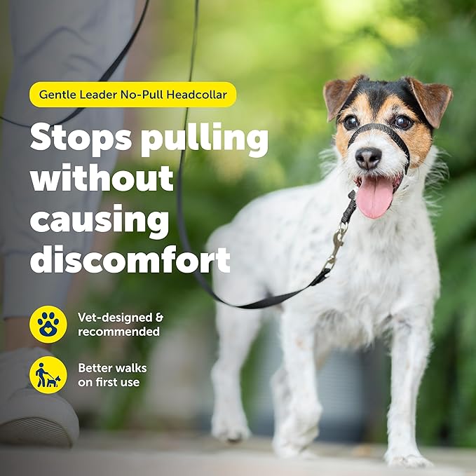 PetSafe Gentle Leader No-Pull Dog Headcollar - The Ultimate Solution to Pulling - Redirects Your Dog's Pulling for Easier Walks - Helps You Regain Control - Small, Apple Green