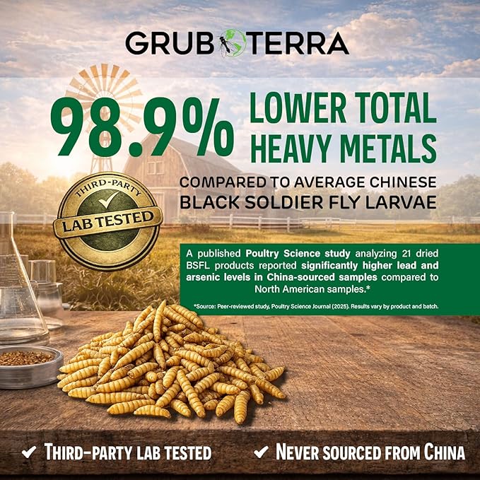GrubTerra Black Soldier Fly Larvae for Chickens – Dried BSFL Poultry Treat, High Protein Calcium Feed Supplement for Laying Hens, Backyard Chickens, Sourced from Mexico, Not from China - 10LB
