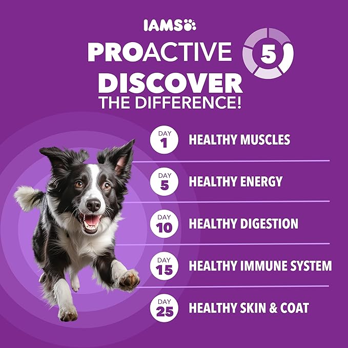 IAMS Advanced Health Dry Dog Food Healthy Digestion, Adult Dog Food with Real Chicken Recipe, 13.5 lb. Bag
