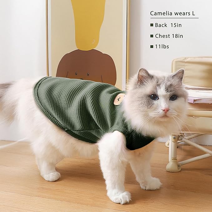 Waffle Knit Cat & Dog T Shirt for Small Dogs, Stretchable Puppy Shirt for Sphynx Cats & Small Breeds, Pet Clothes | Breathable Summer/Winter Apparel for Newborn(Green 2XLarge)