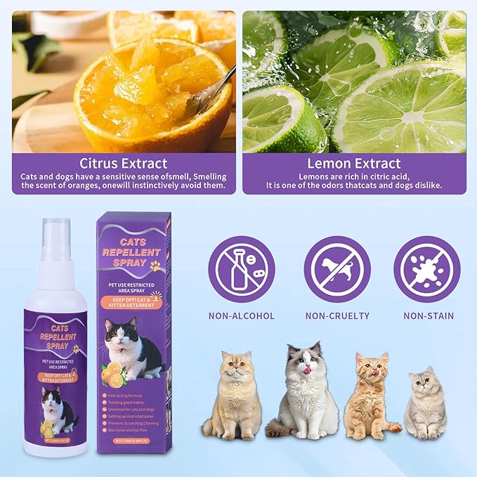 Cat Scratch Deterrent Spray, Cat Repellent Spray Indoor and Outdoor for Cat and Kitten, No Scratch Spray Training Aid for Furniture, Sofas, Rugs 120ml