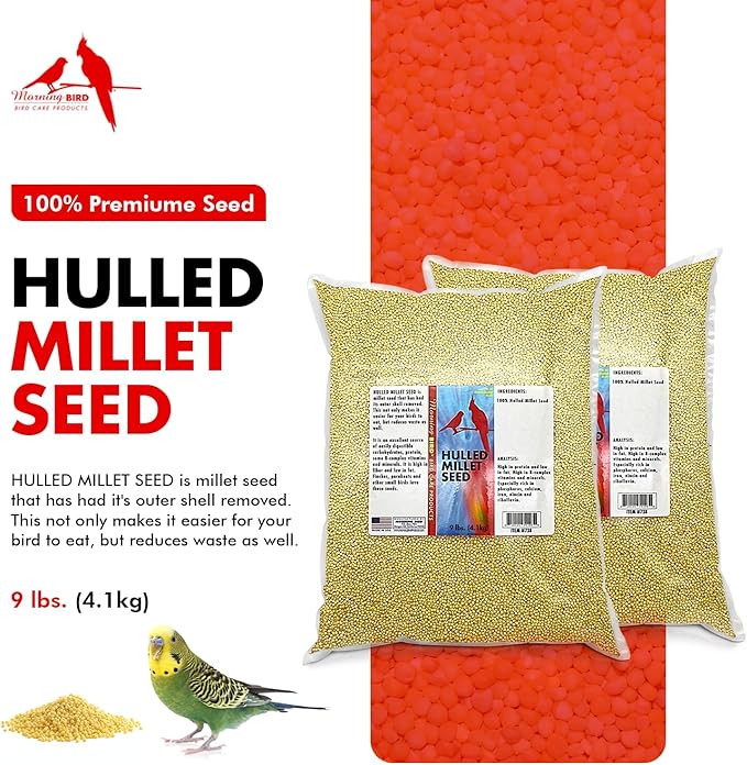 Morning Bird Hulled Millet 18 lbs (2-Pack, 9 lbs Each) – Nutritious Hulled Millet Seed - Easily Digestible with High Fiber, Rich in Vitamins & Minerals for Birds, Ideal Bird Feed for All Bird Types