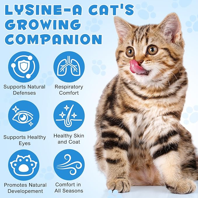 ALIVO L-Lysine for Cats, Immune Support Drops for Feline Respiratory Health, Sneezing & Runny Nose - Chicken Flavor Liquid Supplement for Eye Function & Cat Cold Relief, 60mL x 2