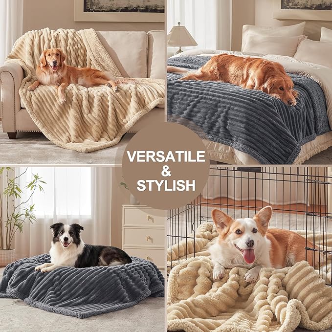Waterproof Dog Blanket for Large Dogs, Washable Soft Puppy Cat Blanket Flannel Cotton Velour for Sofa Couch Protector, Comfort & Security Reversible Bed Protection for Pet, 50"X60", Gray